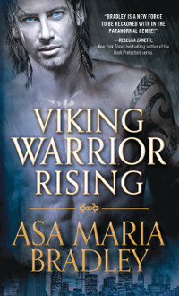 AMBradley-Viking Warrior Rising
